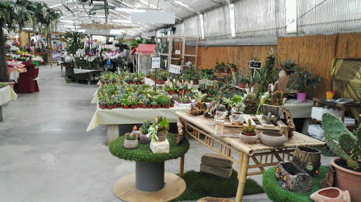 Garden Idea - Thumbnail