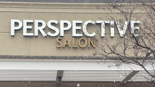Salon Perspective - Visual