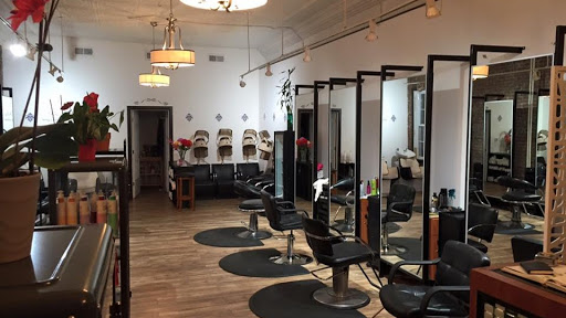 My Dream Hair Studio