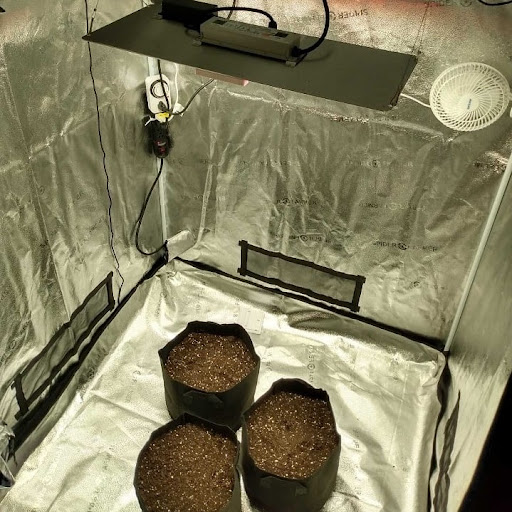 Her Seed Bank - Thumbnail