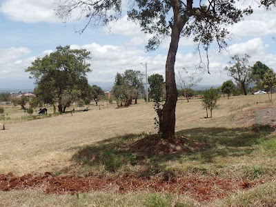Photos of The Heroes Garden