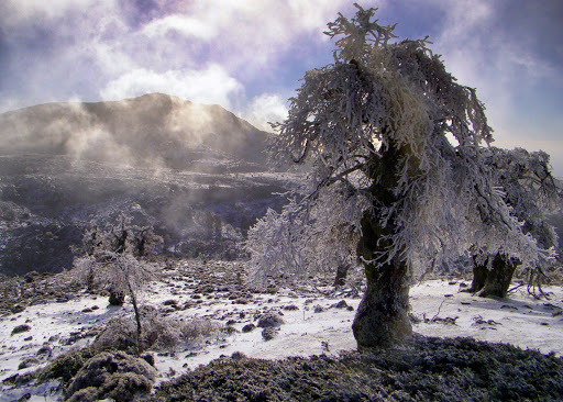 Puerto de los Pilones.Altitud 1750m - Thumbnail