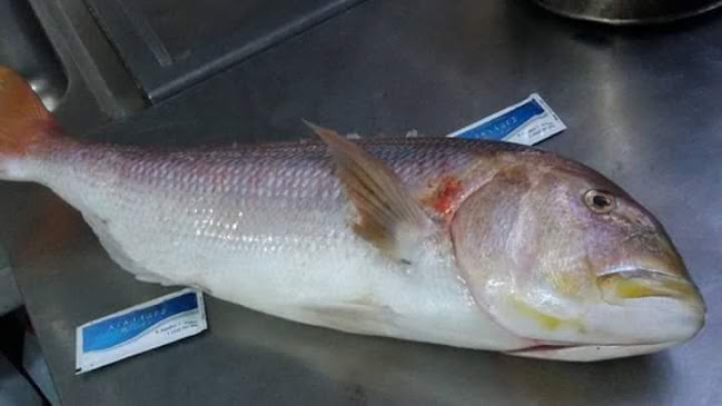 Comentarii opinii despre Ψαροταβέρνα Κυκλάδες