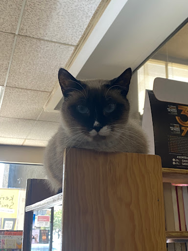Librería El Día - Thumbnail