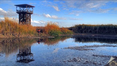 Gölünyazı Milli Parkı