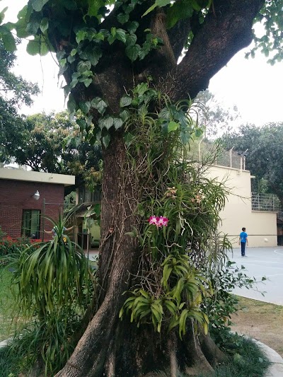 Photos of আমেরিকান রিক্রিয়েশন এসোসিয়েশন, ঢাকা