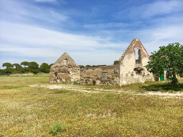Parc national de Doñana