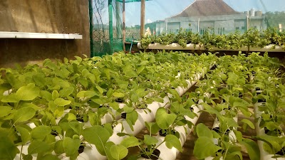 Photos of Hidroponik Shop