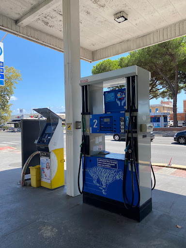 Car and Scooter Rental