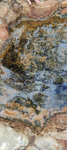 Aylmore Mineral Spring Gallery - Australia