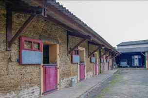 Photo n°1 de Haras D’Ock à La Roche-Mabile (Pension pour chevaux)
