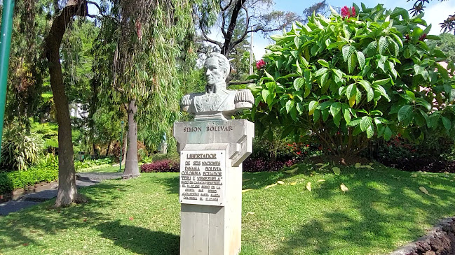 R. Ivens 11, São Martinho, 9000-050 Funchal