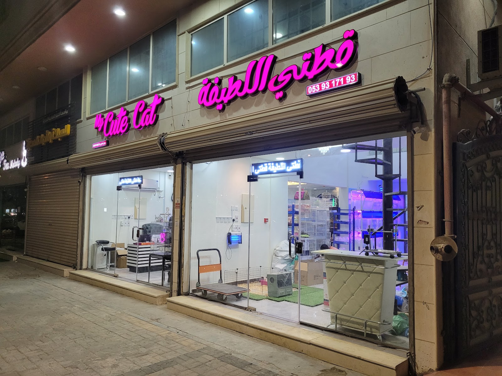 الكائنات اللطيفة - صورة 3