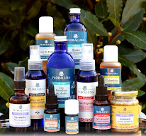 FLORALUNA 🌿La Distillerie des Altitudes : huiles essentielles et plantes médicinales biologiques à Los Masos