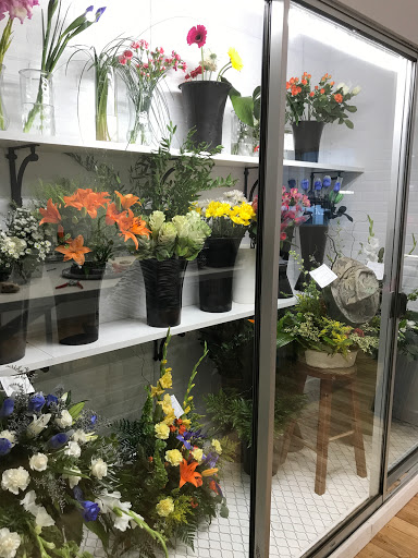 Plantes & Fleurs - Thumbnail