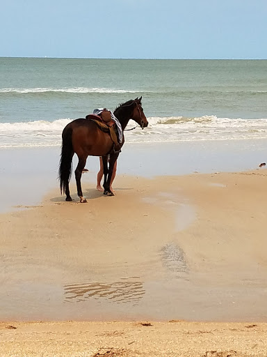 Playa Ponte Vedra - Thumbnail