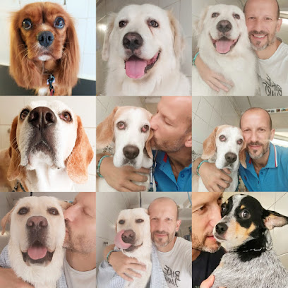 Bau Miao Toelettature Per Cani E Gatti