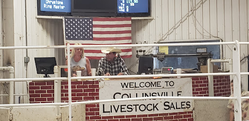 Collinsville Livestock Sales - Thumbnail