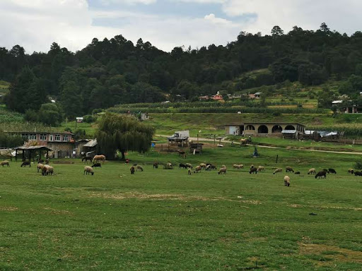 Presa de Molinitos - Thumbnail
