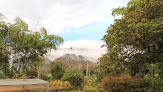 Negocio Finca El Tinto