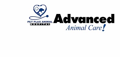 Photos of Pet Plus Animal Hospital