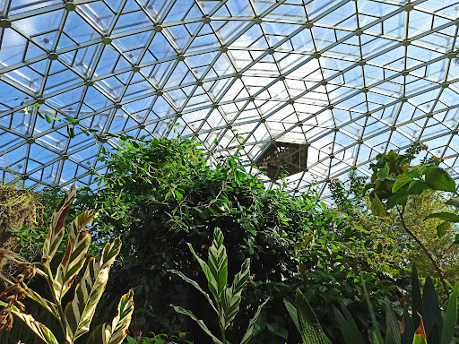 Climatron - Thumbnail