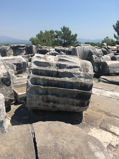 Priene temple of athena