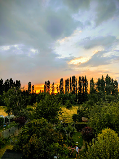 Ditton Field - Visual