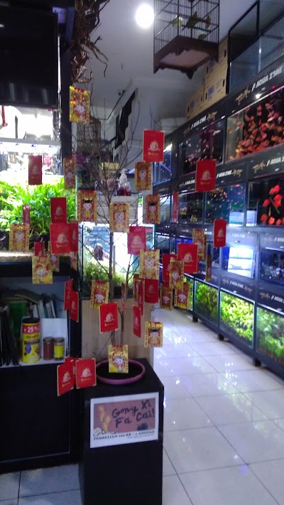 Photos of AquaZone Aquarium & Pet Shop