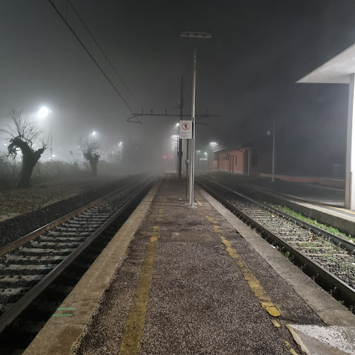 Alfonsine - Visual