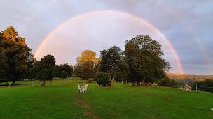 Photo n°31 de chateau de la forie à Saint-Étienne-sur-Usson (Chambre d'hôtes)