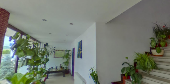 Pensiunea Aimee - Hotel