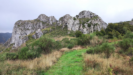 Peña Hoguera - Visual
