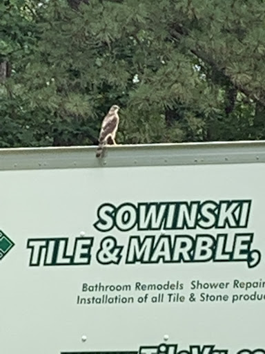 Avatar for Sowinski Tile & Marble, LLC.
