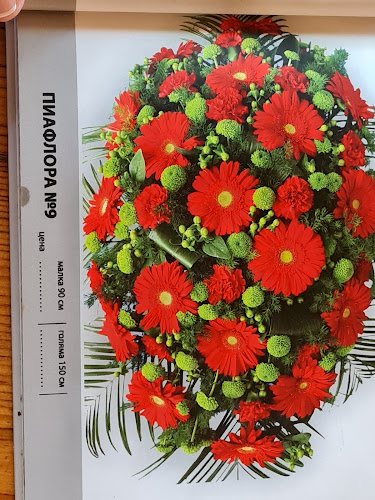 Comentarii opinii despre Погребална агенция Ева