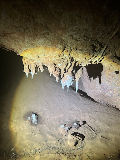 Cutta Cutta Caves Nature Park - Thumbnail
