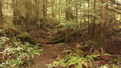 Photos of Mount Erie