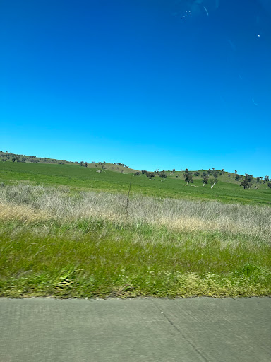 NSW SES Canterbury Unit - Thumbnail