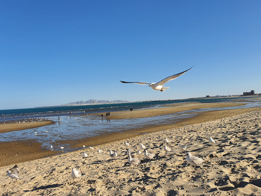 Letras San Felipe. Malecon, San Felipe, Baja California