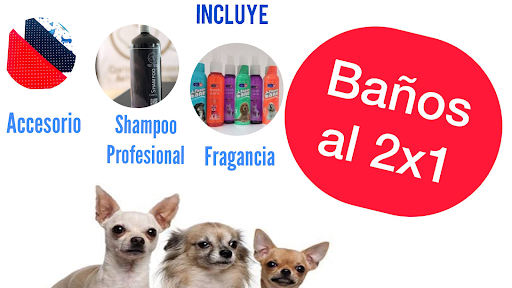 Doggy Vet Care - clínica especializada en perros y gatos