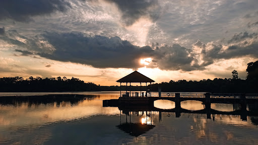 Lower Peirce Reservoir Pavilion Gallery - Singapore
