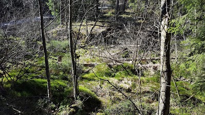 Photos of Appelsintoppen T&aring;rn