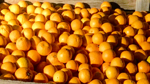 Riverland Fruit and Veg Gallery - Australia