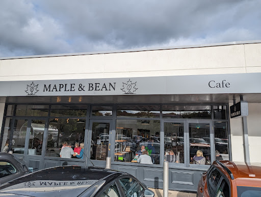 Maple & Bean - Visual