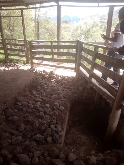 Photos of Kariandusi Museum
