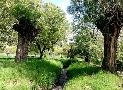 Photos of پارک بنیس