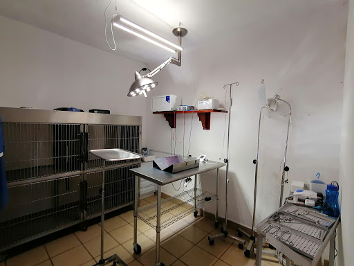 Veterinaria El Porvenir