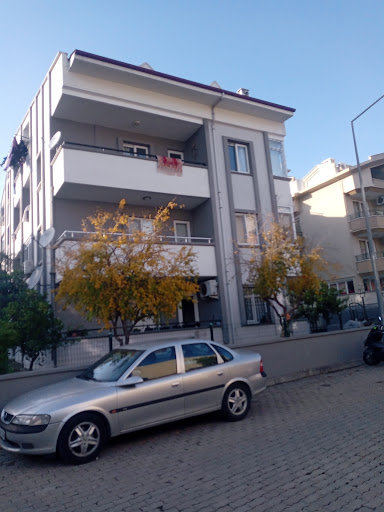 SihirBay Gösteri Hizmetleri Org.