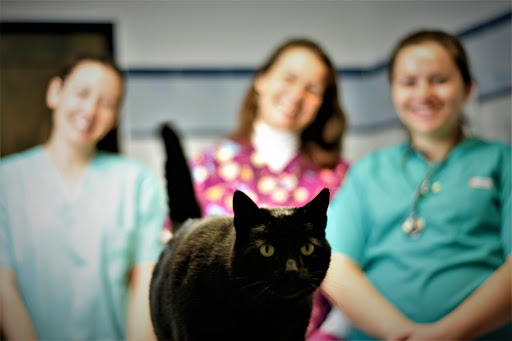 Clínica Veterinaria Santa Gertrudis