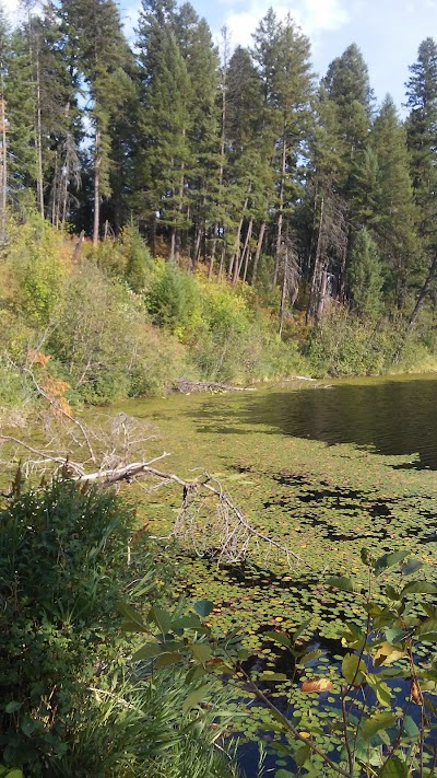 Robinson Lake Campground